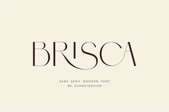 Brisca Font: Creative Typography Project Ideas